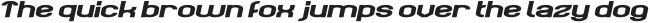 WE ARE LEGION Bold Italic otf (700)