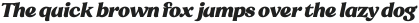 Sregs Serif Display Heavy Italic Variable ttf (800)