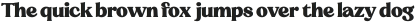 Sregs Serif Display Heavy Variable ttf (800)