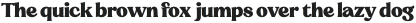 Sregs Serif Display Heavy otf (800)