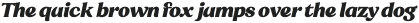 Sregs Serif Display Heavy Italic otf (800)