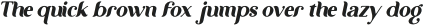 wastern Italic otf (400)