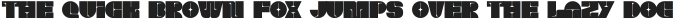 The Vision Type Regular otf (400)