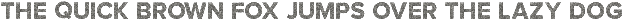 MsRockFont Regular otf (400)
