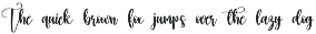 Family | Script Font preview