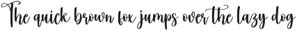 The Winter | Script Font preview