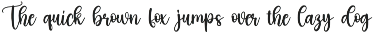 Basketball | Script Font preview