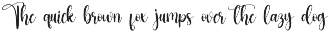 Birthday | Script Font preview