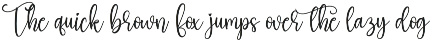 Blackbeer | Script Font preview