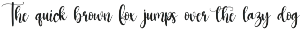 Strong Signature | Script Font preview