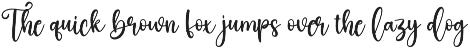 Wedding | Script Font preview