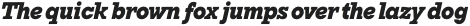 TT Rationalist Black Italic otf (900)