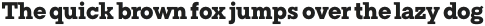 TT Rationalist ExtraBold otf (700)
