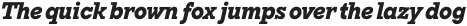 TT Rationalist ExtraBold Italic otf (700)