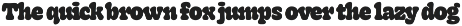 Oakley Typeface preview