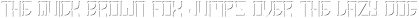 Shogun Light otf (300)