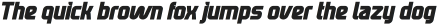 Neotoxic Black Italic Black Italic otf (900)