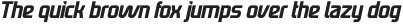 Neotoxic Italic Regular Italic otf (400)