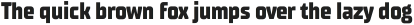 TT Supermolot Neue Condensed ExtraBold otf (700)
