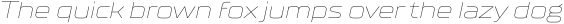 TT Supermolot Neue Extended Thin Italic otf (100)