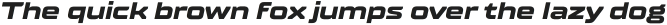 TT Supermolot Neue Extended ExtraBold Italic otf (700)