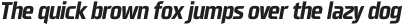 Neusharp Bold Condensed Oblique otf (700)