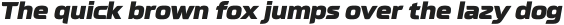 Neusharp Black Oblique otf (900)