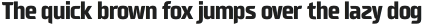 Neusharp Extra Bold Condensed otf (700)