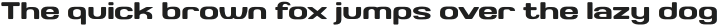 Valonik Medium otf (500)