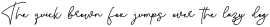 Honey Christmas Monoline Italic Italic otf (400)