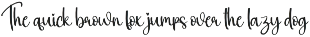 Amsterdam | Script Font preview