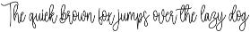 Autography | Script Font preview