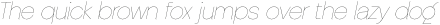 Priego ThinItalic otf (100)