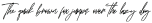 Nubriska otf (400)