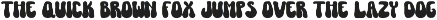 Smooth Cheese - Groovy Retro Font preview