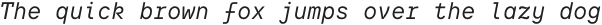 TT Interphases Pro Mono Italic otf (400)