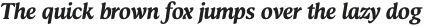 Arcuata Light Italic otf (300)