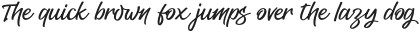 Delhus Fyione otf (400)