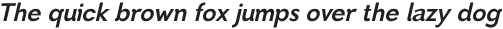 ToibanItalic-Bold otf (700)