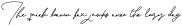 JackWalker Medium otf (500)