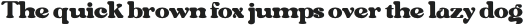 MangoDisplay-Regular otf (400)