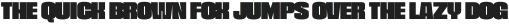 Grunk Bold otf (700)