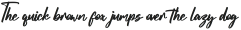 Salty Bash Script ttf (400)