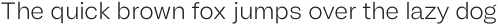 Another Grotesk Text Light ttf (300)