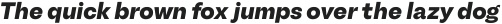 Another Grotesk Display Bold Italic ttf (700)