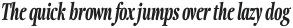 Fionas Heavy Italic otf (800)