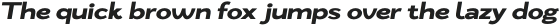 Zt Nezto Extra Bold Italic otf (700)