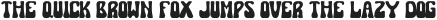 SundayNoonRegular otf (400)