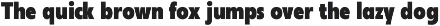 Neue Reman Sans Family preview