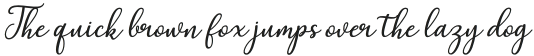 Elation Script Italic Regular otf (400) Sample